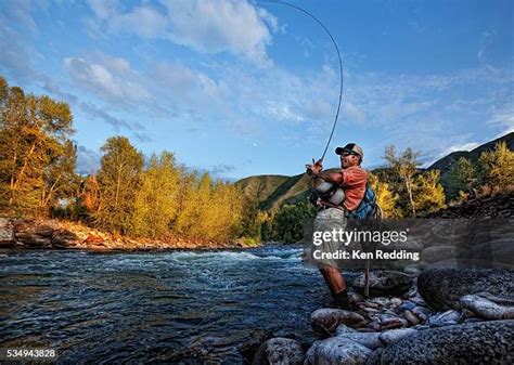 fly fishing pictures|13,484 Fly Fishing Stock Photos & High.